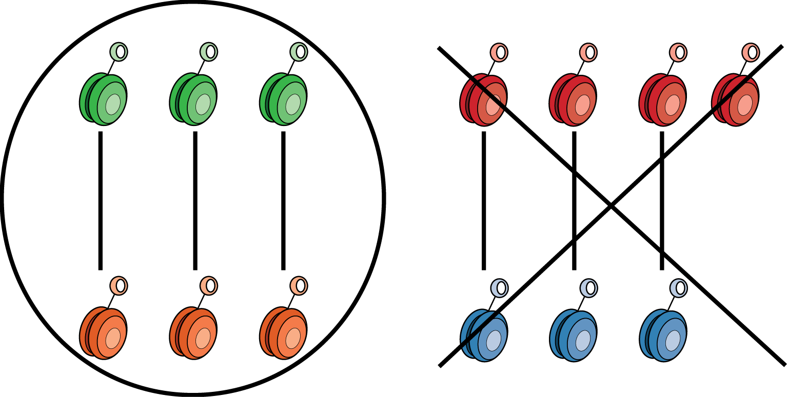 Two sets of yo-yos each containing two groups.