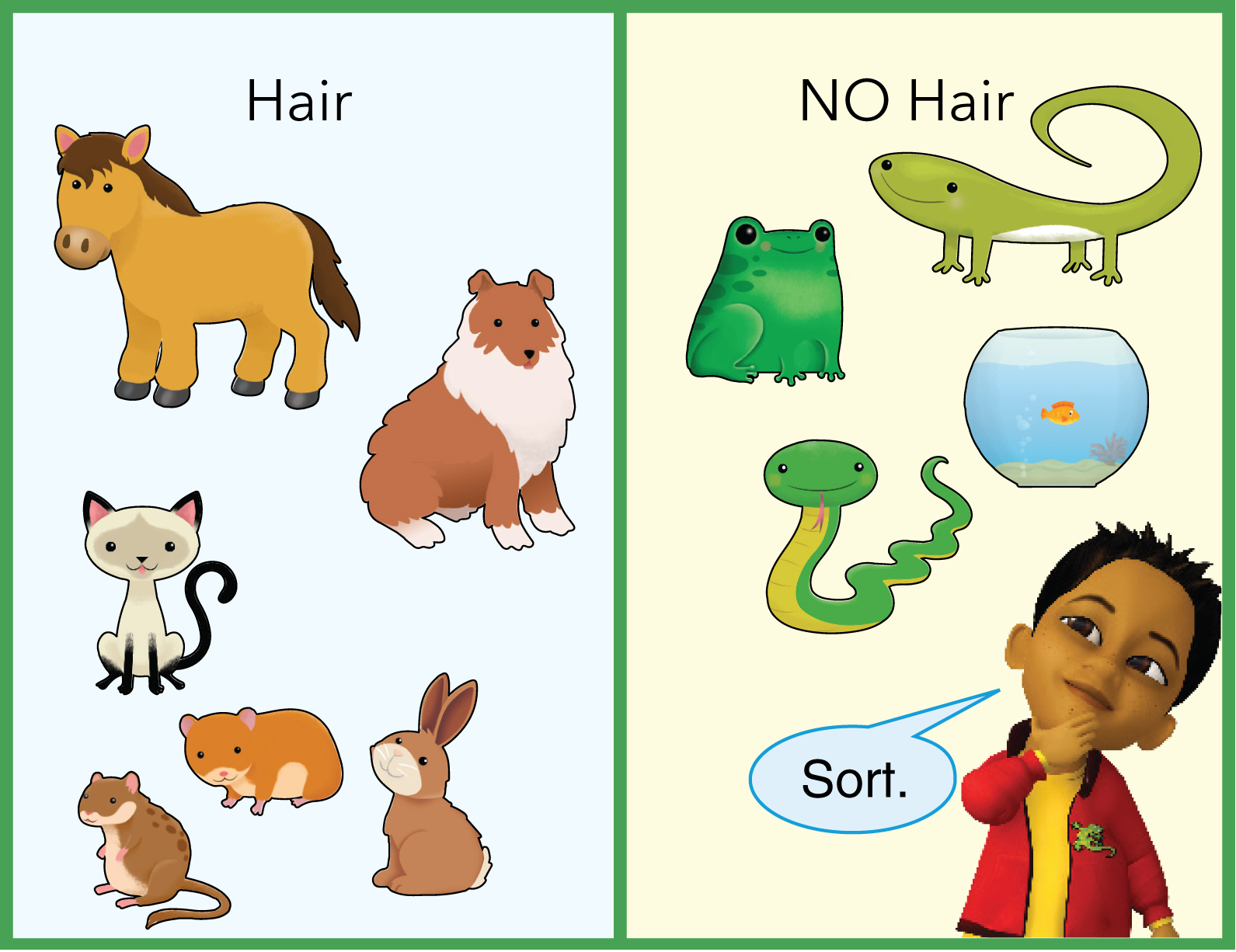 2 groups, labeled Hair and No Hair.