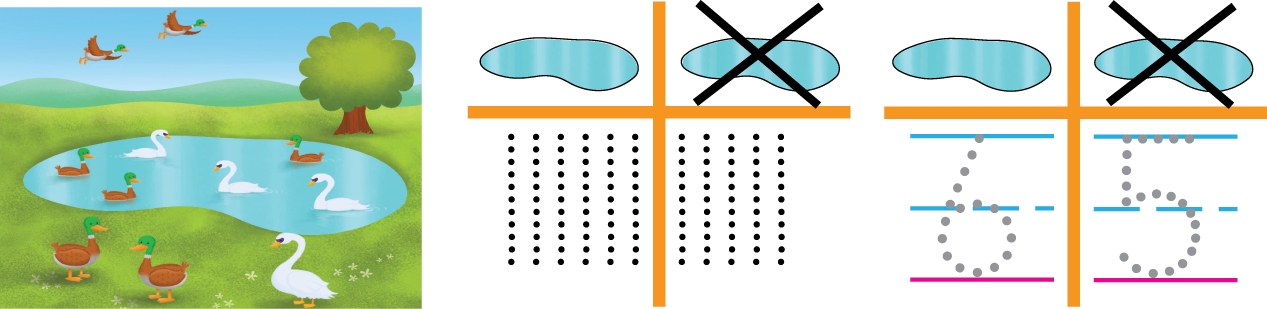 A picture shows 6 birds in water and 5 out of water. There are two two-column charts next to the picture.