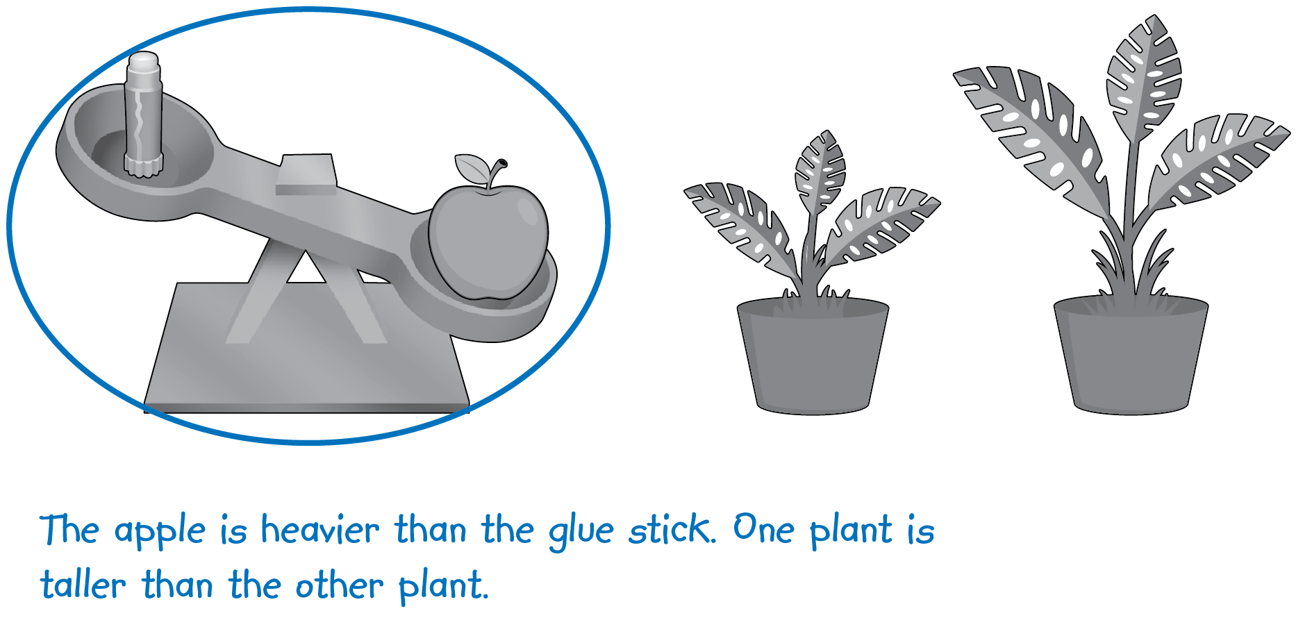 A balance scale in which an apple is heavier than a glue stick. A smaller plant and a larger plant. The scale is circled. The words